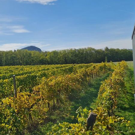 شقة Pop Tiny House Balaton Kaptalantoti المظهر الخارجي الصورة
